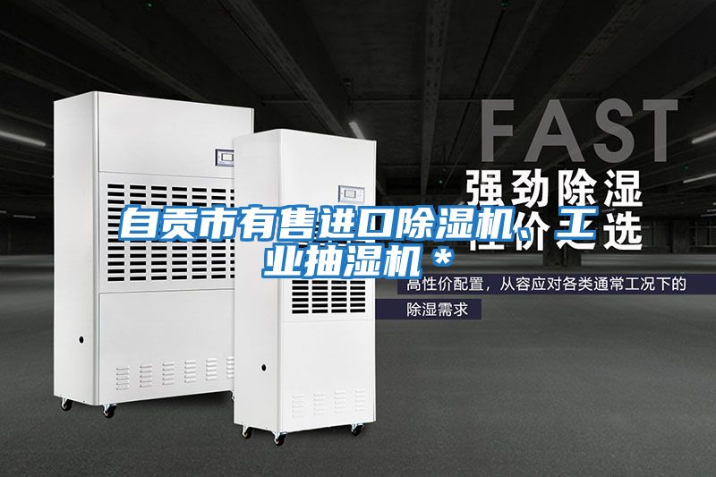 自貢市有售進(jìn)口除濕機(jī)、工業(yè)抽濕機(jī)＊