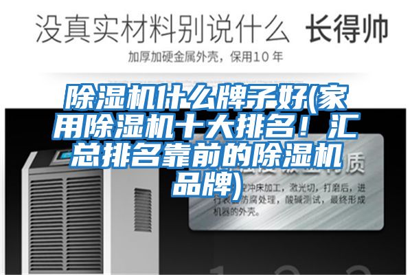 除濕機什么牌子好(家用除濕機十大排名！匯總排名靠前的除濕機品牌)