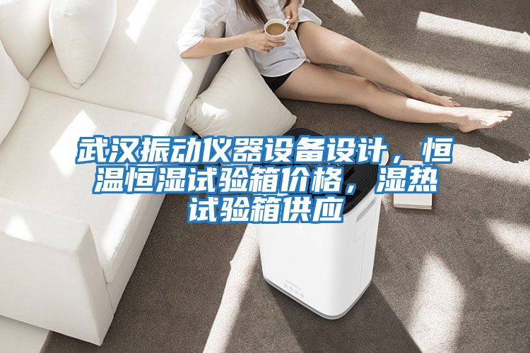 武漢振動(dòng)儀器設(shè)備設(shè)計(jì)，恒溫恒濕試驗(yàn)箱價(jià)格，濕熱試驗(yàn)箱供應(yīng)