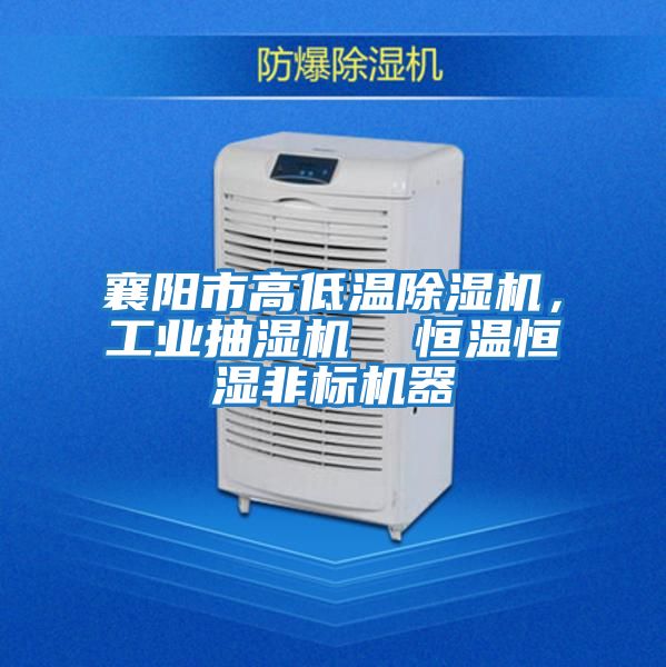 襄陽(yáng)市高低溫除濕機(jī)，工業(yè)抽濕機(jī)  恒溫恒濕非標(biāo)機(jī)器