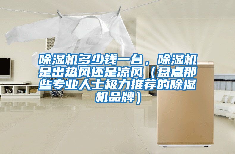 除濕機多少錢一臺,除濕機是出熱風(fēng)還是涼風(fēng)(盤點那些專業(yè)人士極力推薦的除濕機品牌)