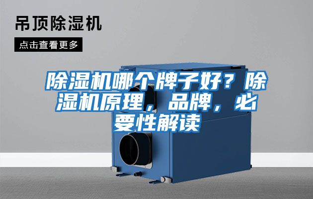 除濕機哪個牌子好？除濕機原理，品牌，必要性解讀
