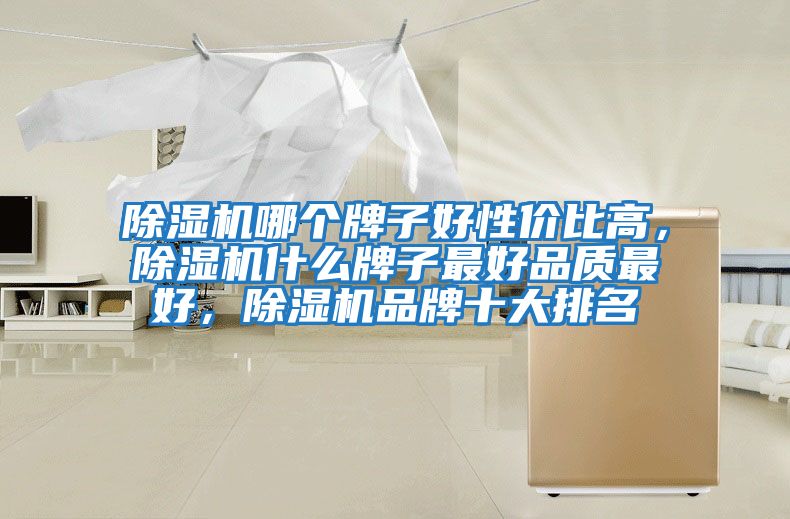 除濕機哪個牌子好性價比高，除濕機什么牌子最好品質(zhì)最好，除濕機品牌十大排名