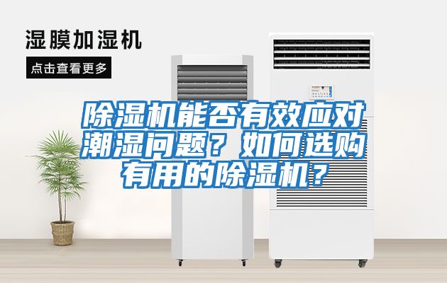 除濕機能否有效應對潮濕問題?如何選購有用的除濕機?