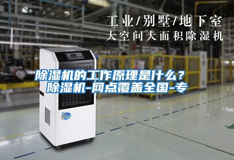 除濕機(jī)的工作原理是什么? 除濕機(jī)-網(wǎng)點(diǎn)覆蓋全國-專