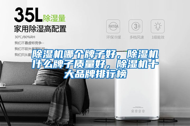 除濕機哪個牌子好，除濕機什么牌子質量好，除濕機十大品牌排行榜