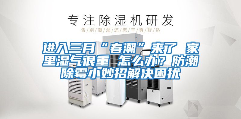 進入三月“春潮”來了 家里濕氣很重 怎么辦？防潮除霉小妙招解決困擾