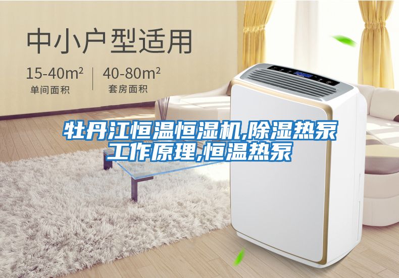 牡丹江恒溫恒濕機,除濕熱泵工作原理,恒溫?zé)岜?></div>
								<div   id=