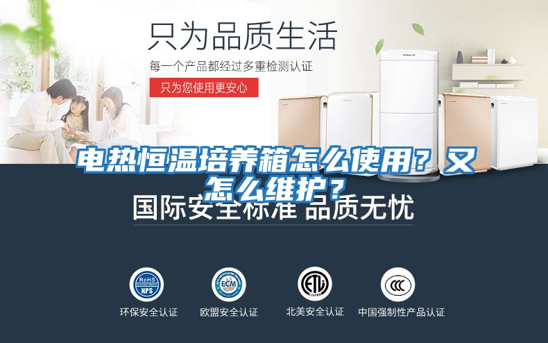 電熱恒溫培養箱怎么使用？又怎么維護？