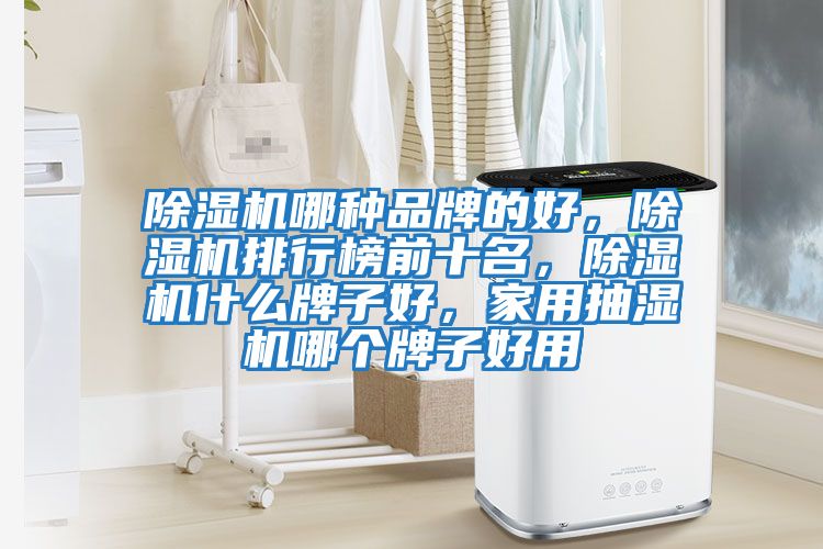 除濕機哪種品牌的好,除濕機排行榜前十名,除濕機什么牌子好,家用抽濕機哪個牌子好用