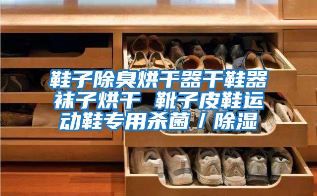 鞋子除臭烘干器干鞋器襪子烘干 靴子皮鞋運動鞋專用殺菌/除濕