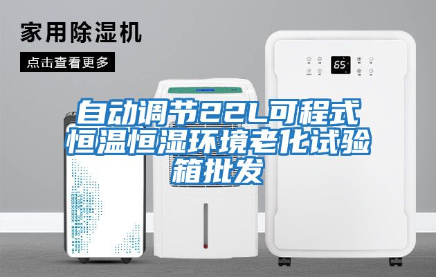 自動調節22L可程式恒溫恒濕環境老化試驗箱批發