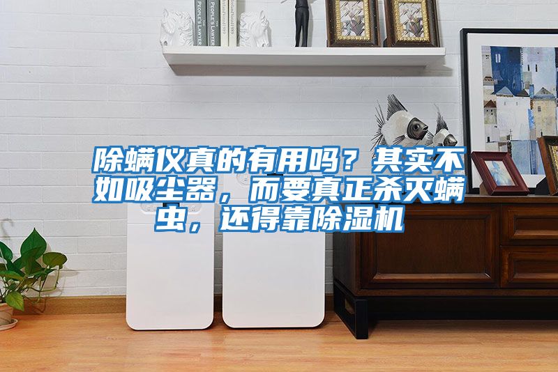 除螨儀真的有用嗎？其實不如吸塵器，而要真正殺滅螨蟲，還得靠除濕機