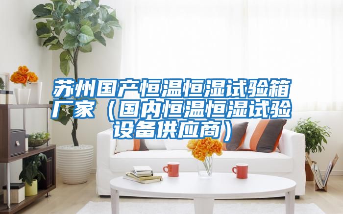 蘇州國產恒溫恒濕試驗箱廠家(國內恒溫恒濕試驗設備供應商)