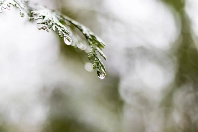 空氣濕度大帶來的危害有哪些，你知道嗎？