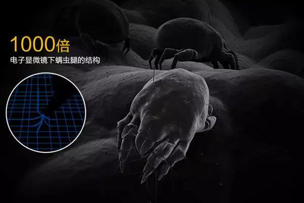 螨蟲(chóng)高發(fā)季,家用除濕機(jī)除螨有妙計(jì)!